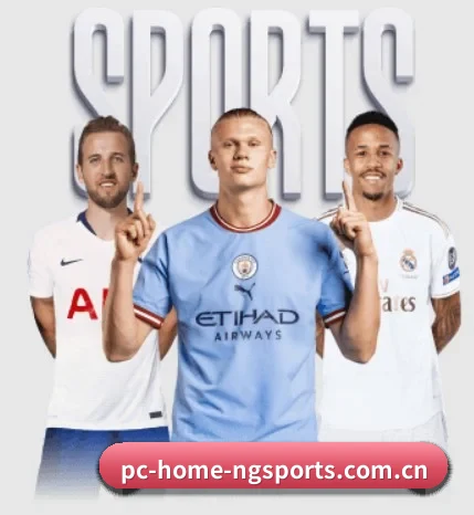 ng体育入口围绕看球场景设计的核心服务 | NGSPORTS